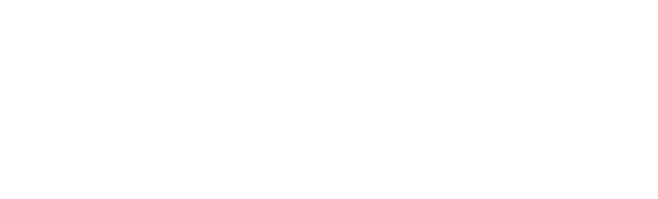 rajaram solvex